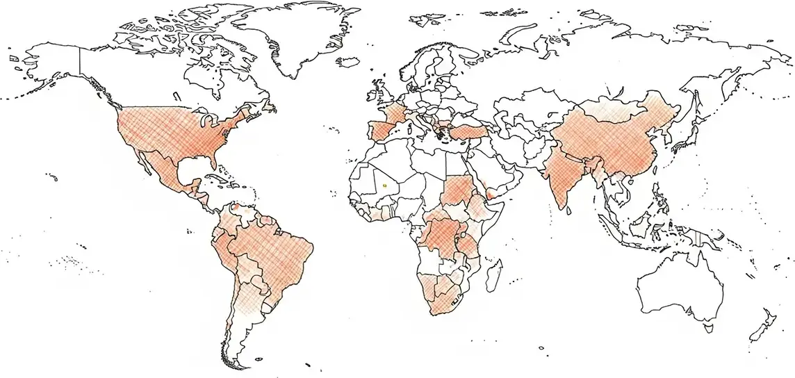 Carte des zones à risque · Hépatite A