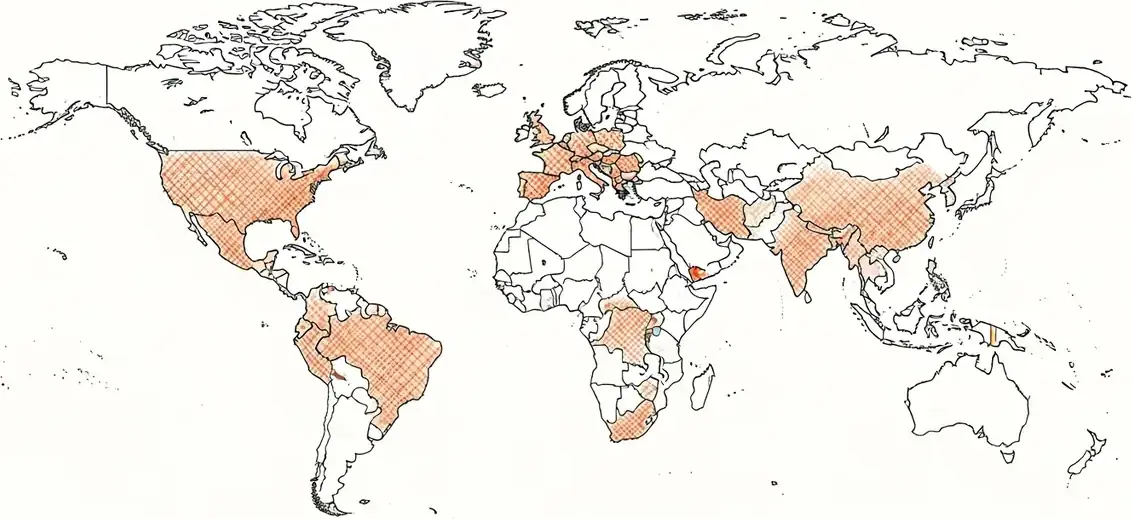 Carte des zones à risque · Méningite à méningocoques