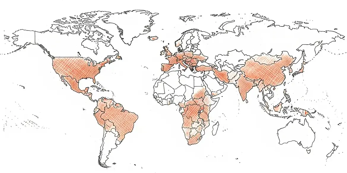 Carte des zones à risque · Rage